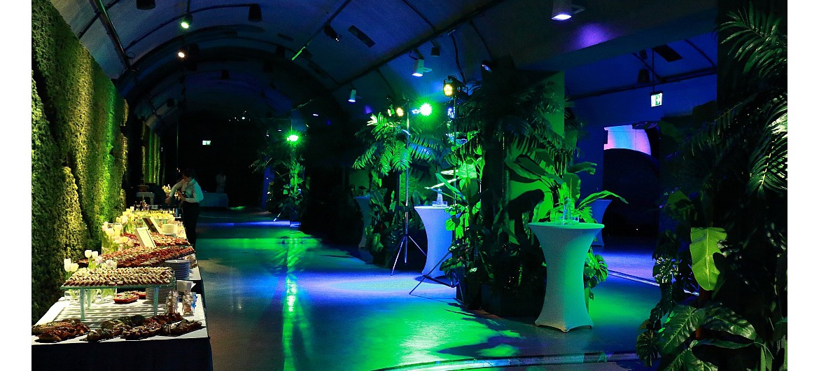 oświetlenie bankietu w muzeum