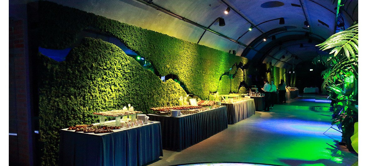 oświetlenie bankietu w muzeum